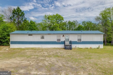 Lake Home For Sale in Portal, Georgia