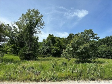 Lake of the Ozarks Lot For Sale in Edwards Missouri