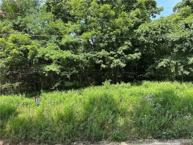 Lake Lot For Sale in Edwards, Missouri