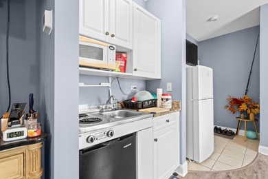 Welcome to this charming efficiency condo in the highly - photo 13