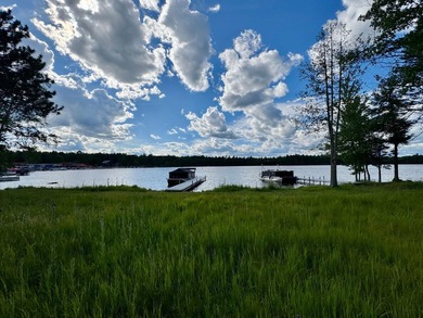 This is a unique lakefront property giving you diverse options - photo 14