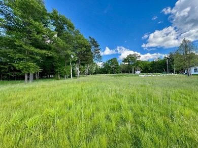 This is a unique lakefront property giving you diverse options - photo 15