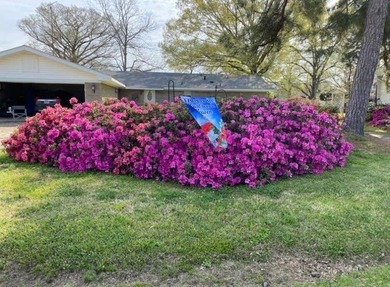 3BR/2BA home in a low-traffic area of beautiful Lake Bruin with - photo 7