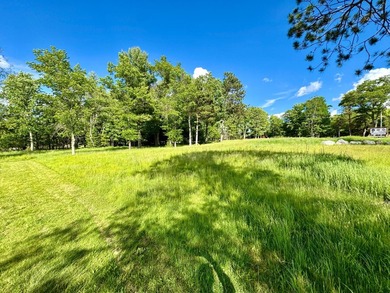 This is a unique lakefront property giving you diverse options - photo 19