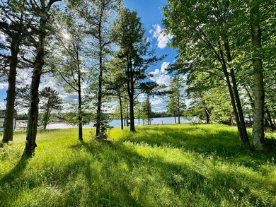 This is a unique lakefront property giving you diverse options - photo 22
