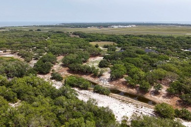 Beautiful 3.38 acreage with trees sets back off of Wishert Rd - photo 6