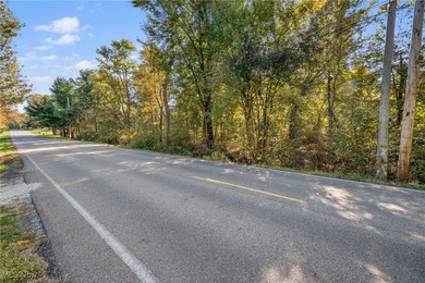 (private lake, pond, creek) Lot For Sale in Clinton Ohio