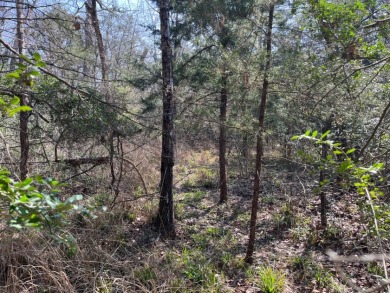 Wooded Nature Filled Lots! - photo 6
