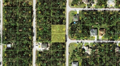 Port Charlotte Waterway Area Lot For Sale in Port Charlotte Florida