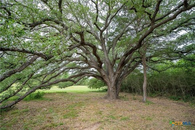 (private lake, pond, creek) Acreage For Sale in Rosanky Texas