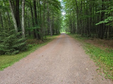 Nestled on over 12 acres with approximately 600 feet of creek - photo 30