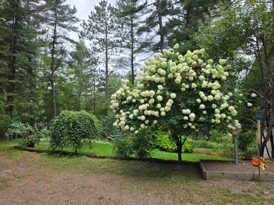 Nestled on over 12 acres with approximately 600 feet of creek - photo 32