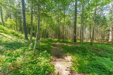 Nestled on over 12 acres with approximately 600 feet of creek - photo 34