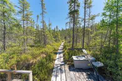 Nestled on over 12 acres with approximately 600 feet of creek - photo 35