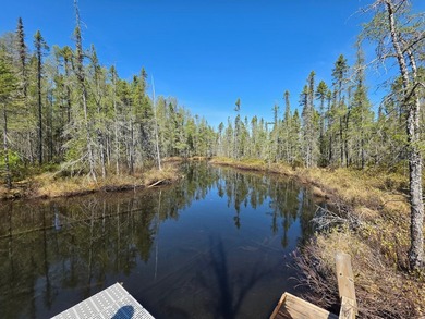 Nestled on over 12 acres with approximately 600 feet of creek - photo 36