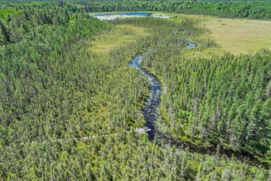 Nestled on over 12 acres with approximately 600 feet of creek - photo 37