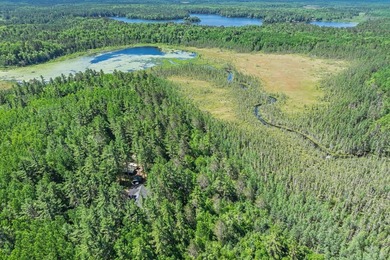Nestled on over 12 acres with approximately 600 feet of creek - photo 38