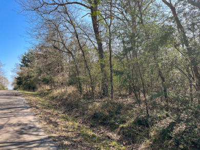 Wooded Nature Filled Lots! - photo 4