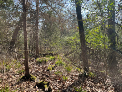 Lake Limestone Acreage For Sale in Jewett Texas