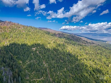 Extraordinary opportunity to own 728 acres of timbered mountain - photo 11