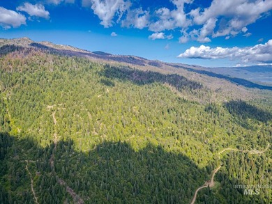 Extraordinary opportunity to own 728 acres of timbered mountain - photo 12