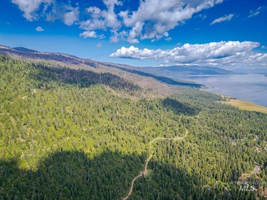 Extraordinary opportunity to own 728 acres of timbered mountain - photo 13
