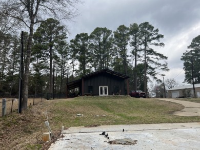 Lake lot + - photo 8