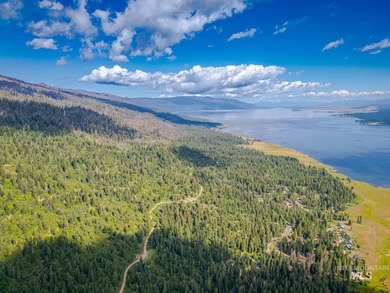 Extraordinary opportunity to own 728 acres of timbered mountain - photo 14