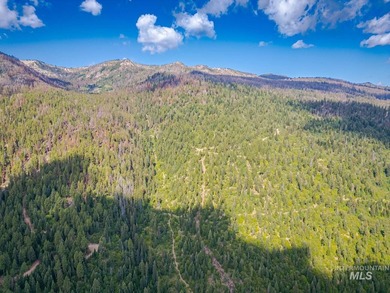 Extraordinary opportunity to own 728 acres of timbered mountain - photo 15
