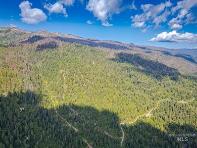 Extraordinary opportunity to own 728 acres of timbered mountain - photo 16