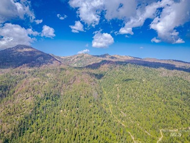 Extraordinary opportunity to own 728 acres of timbered mountain - photo 18