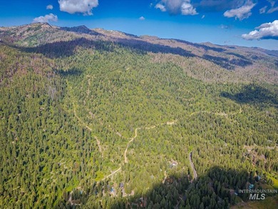 Extraordinary opportunity to own 728 acres of timbered mountain - photo 20