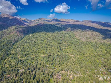 Extraordinary opportunity to own 728 acres of timbered mountain - photo 23