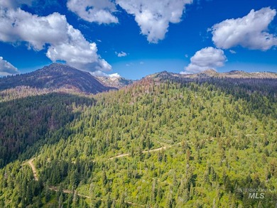 Extraordinary opportunity to own 728 acres of timbered mountain - photo 25