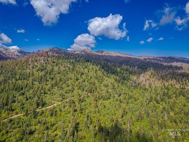 Extraordinary opportunity to own 728 acres of timbered mountain - photo 26