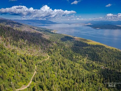 Extraordinary opportunity to own 728 acres of timbered mountain - photo 27