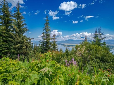 Extraordinary opportunity to own 728 acres of timbered mountain - photo 28