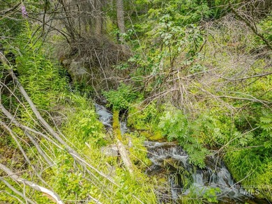 Extraordinary opportunity to own 728 acres of timbered mountain - photo 29