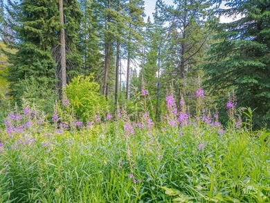 Extraordinary opportunity to own 728 acres of timbered mountain - photo 30