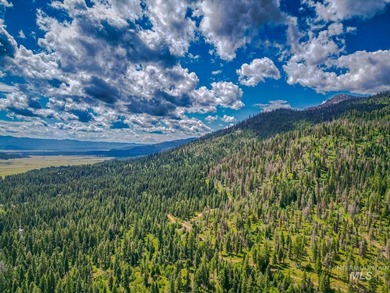 Extraordinary opportunity to own 728 acres of timbered mountain - photo 31