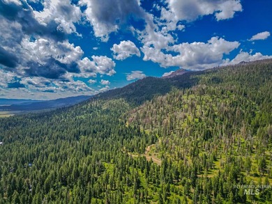 Extraordinary opportunity to own 728 acres of timbered mountain - photo 32