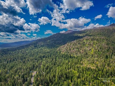 Extraordinary opportunity to own 728 acres of timbered mountain - photo 33