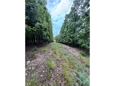 What an opportunity to grab 4 acres, ready to develop in this - photo 4