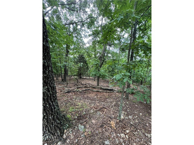 What an opportunity to grab 4 acres, ready to develop in this - photo 5