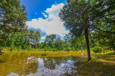 Lake Acreage Active Under Contract in Frankston, Texas