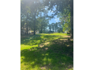 Lake lot + - photo 22