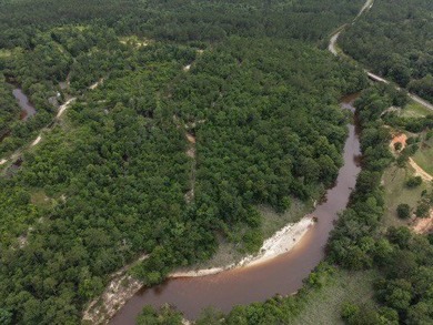 RIVERFRONT LAND! Rare opportunity to own 14+/- acres of fully - photo 12