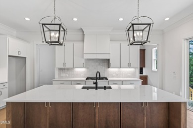 Stunning New Basement Home in Chapel Ridge. Welcome to luxury - photo 18