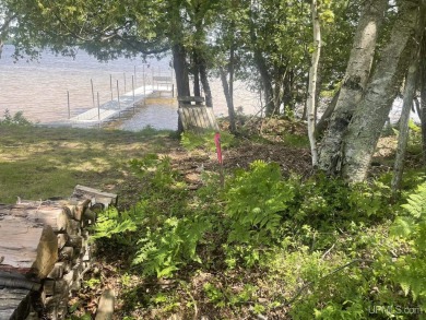 Lake Lot For Sale in Gulliver, Michigan