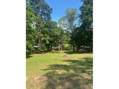 Lake lot + - photo 24